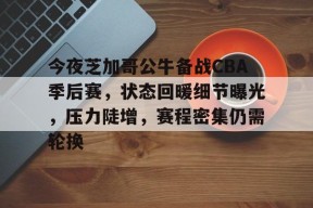九游娱乐-关于今夜芝加哥公牛备战CBA季后赛，状态回暖细节曝光，压力陡增，赛程密集仍需轮换的信息